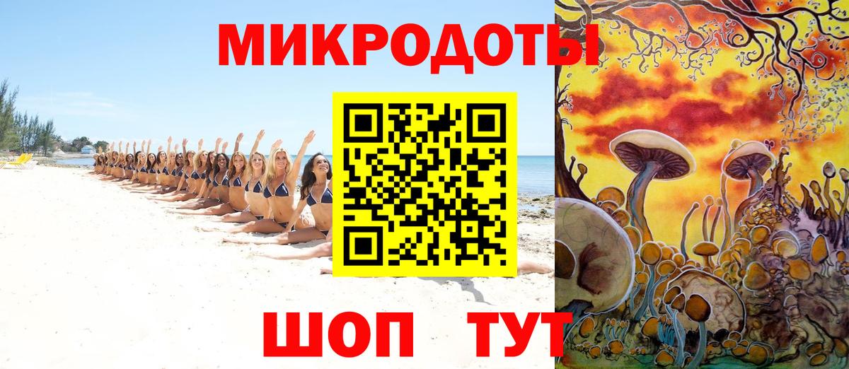 Псилоцибиновые грибы прущие грибы Чернушка